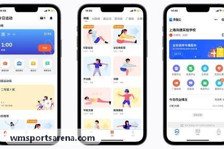 完美体育国际赛事案例背景纹理